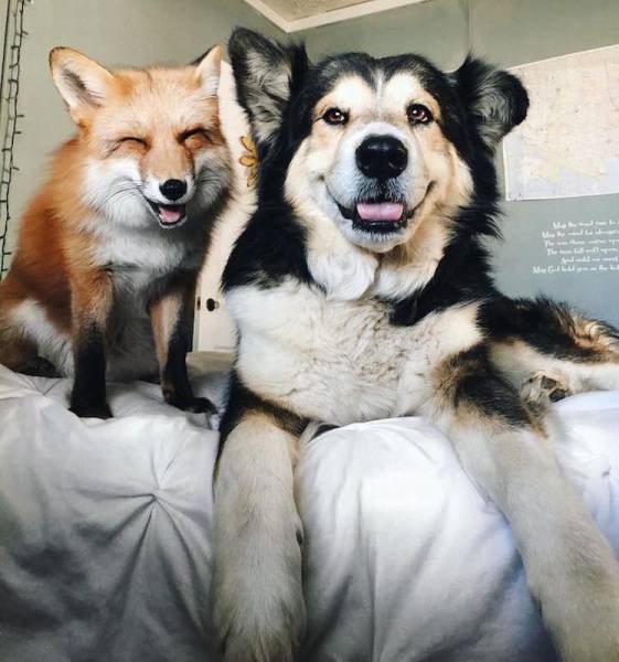 Daily Picdump