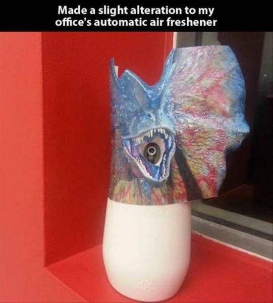 Daily Picdump