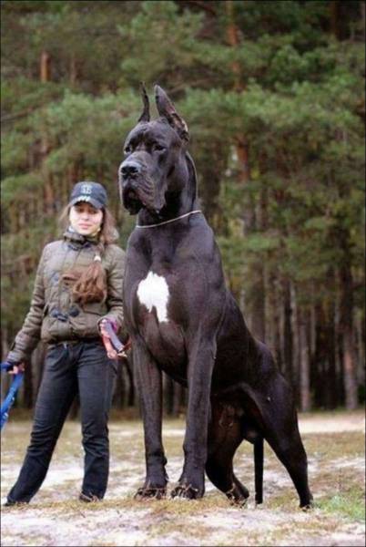 Daily Picdump