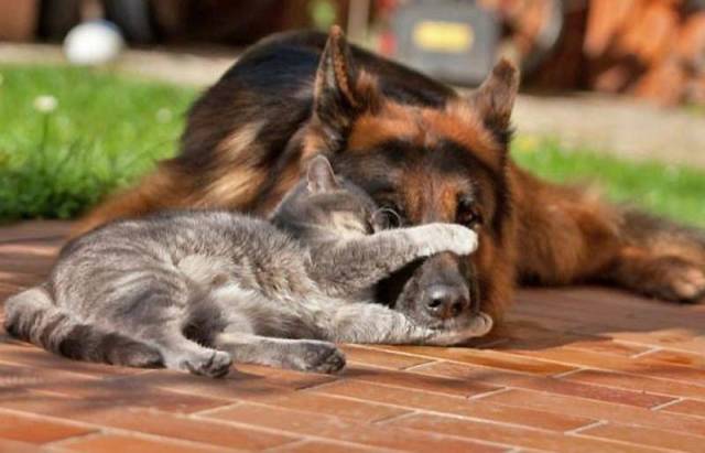 Daily Picdump