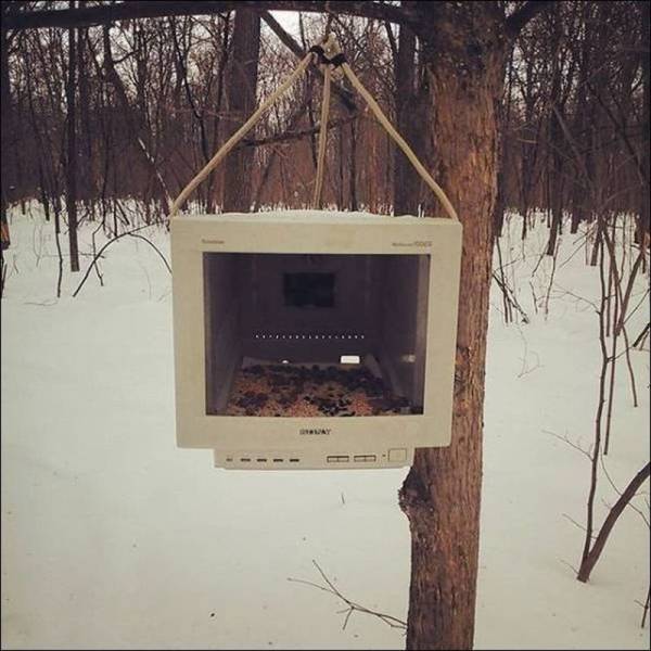 Daily Picdump