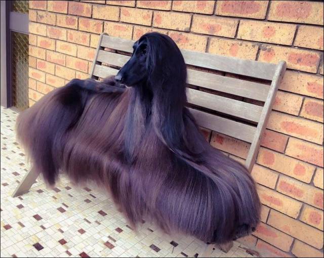 Daily Picdump