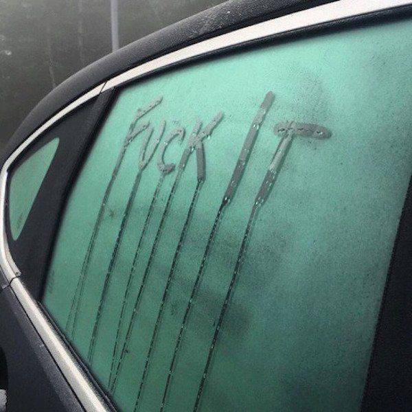 Daily Picdump