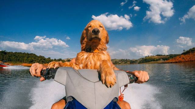 daily picdump 96 pics 35.html - 96 HD Photos | Premium Gallery 2016