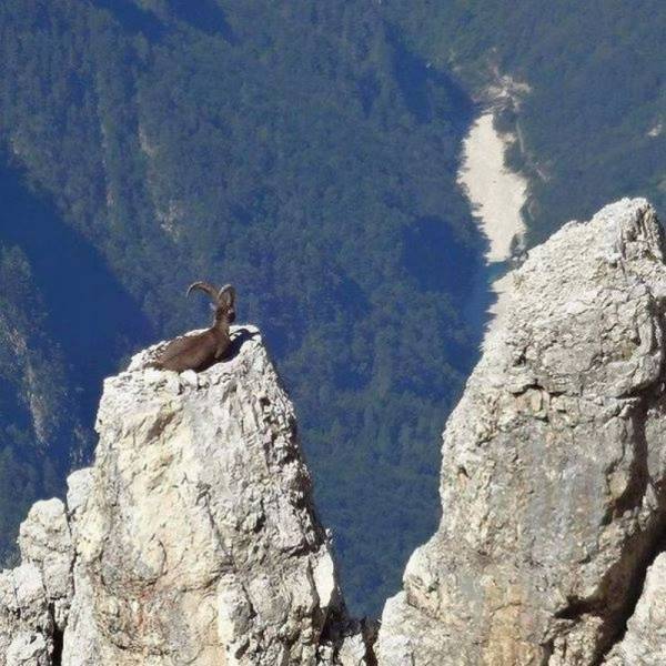 daily picdump 96 pics 35.html - 96 HD Photos | Premium Gallery 2016