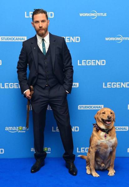 daily picdump 96 pics 35.html - 96 HD Photos | Premium Gallery 2016