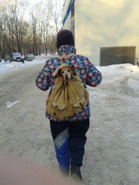 daily picdump 96 pics 35.html - 96 HD Photos | Premium Gallery 2016