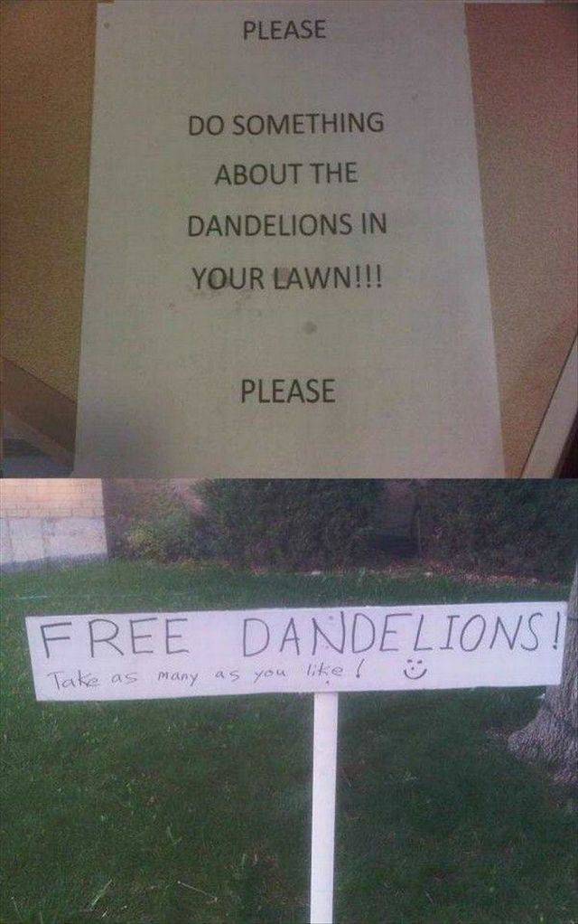 daily picdump 96 pics 35.html - 96 HD Photos | Premium Gallery 2016