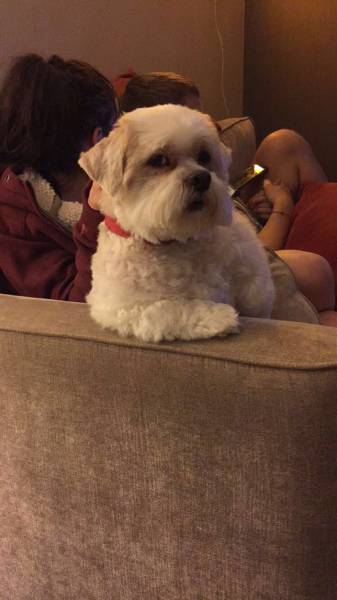 morning picdump 50 pics 15.html - 50 HD Photos | Premium Gallery 2016