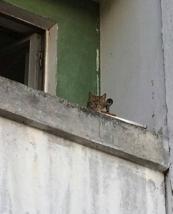 Morning Picdump