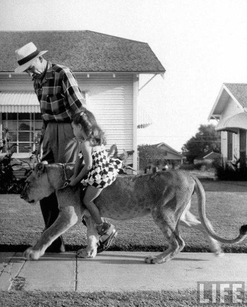 daily picdump 100 pics 37.html - 100 HD Photos | Premium Gallery 2016