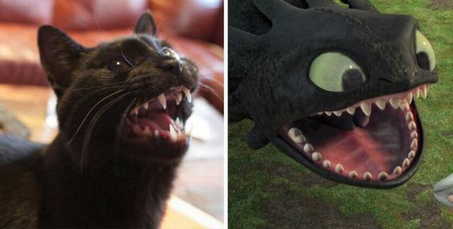 Daily Picdump
