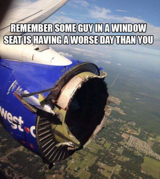 Daily Picdump