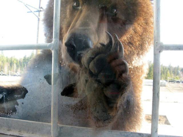 daily picdump 93 pics 40.html - 93 HD Photos | Premium Gallery 2016