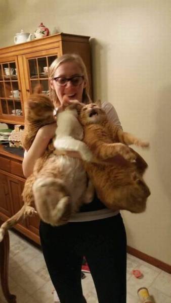daily picdump 93 pics 40.html - 93 HD Photos | Premium Gallery 2016