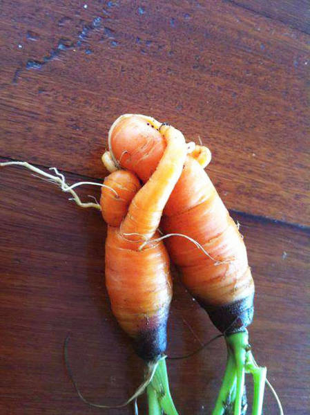 Daily Picdump [WEEKEND EDITION]