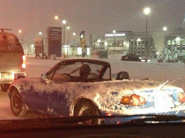 daily picdump 93 pics 16.html - 93 HD Photos | Premium Gallery 2016