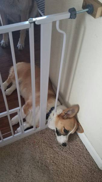 morning picdump 52 pics 14.html - 52 HD Photos | Premium Gallery 2016