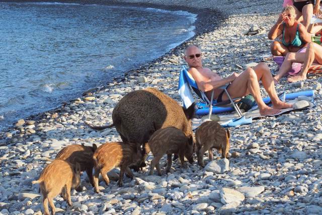 Daily Picdump