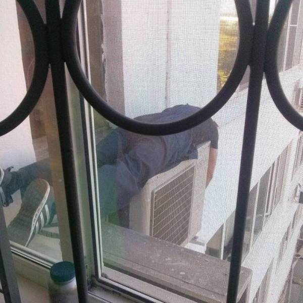 Daily Picdump