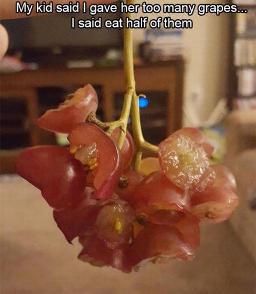 Daily Picdump