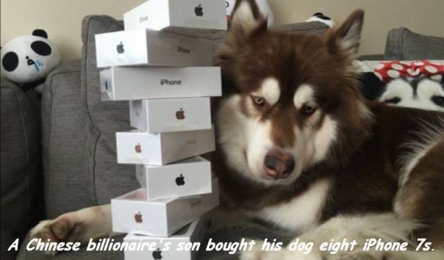 Daily Picdump