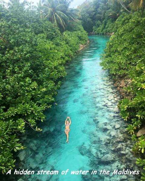 daily picdump 98 pics 28.html - 98 HD Photos | Premium Gallery 2016