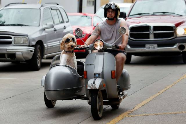 Daily Picdump