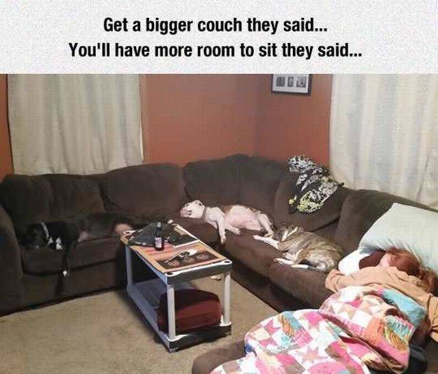 Daily Picdump