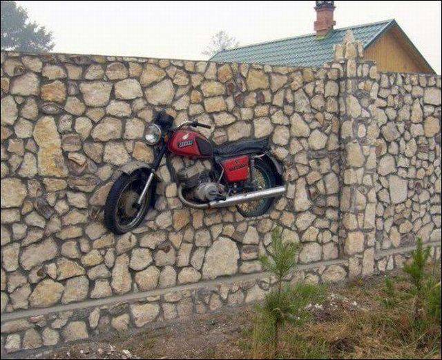 Daily Picdump