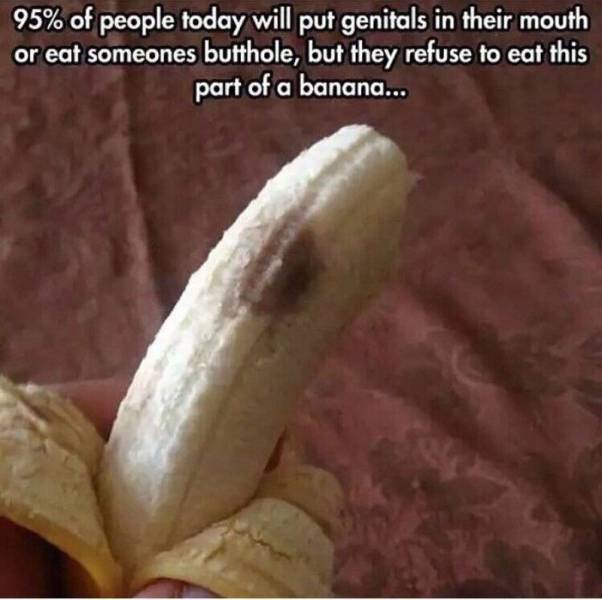 funny picdump 52 pics 25.html - 52 HD Photos | Premium Gallery 2016