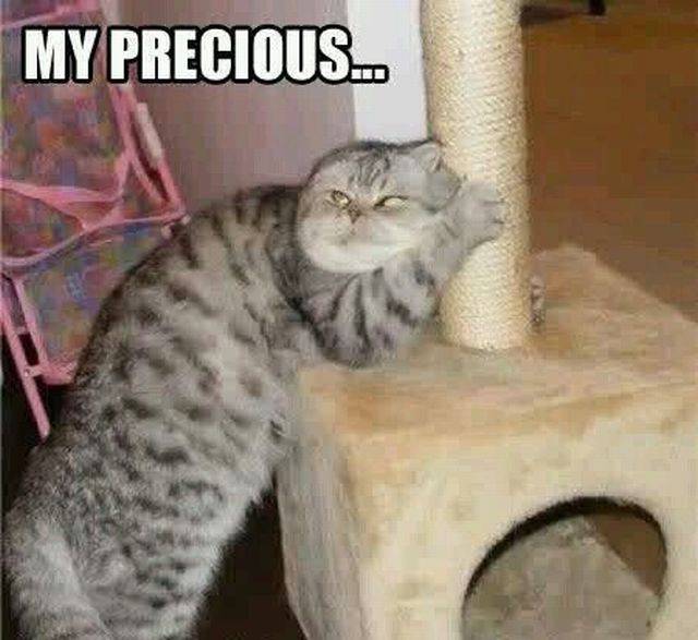 funny picdump 52 pics 25.html - 52 HD Photos | Premium Gallery 2016
