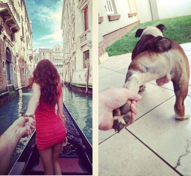 funny picdump 52 pics 25.html - 52 HD Photos | Premium Gallery 2016