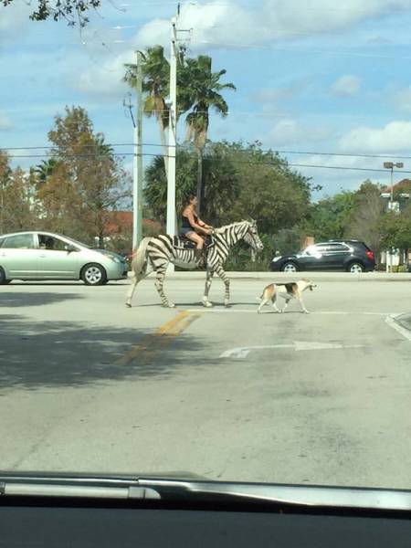 Well, There Is Something That You Don’t See Everyday