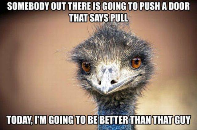 Funny Picdump