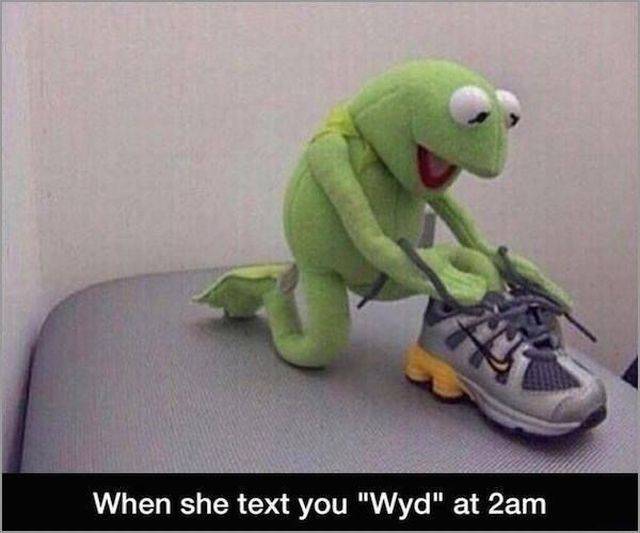 funny picdump 55 pics 18.html - 55 HD Photos | Premium Gallery 2016