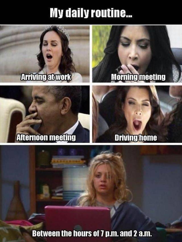 funny picdump 55 pics 18.html - 55 HD Photos | Premium Gallery 2016
