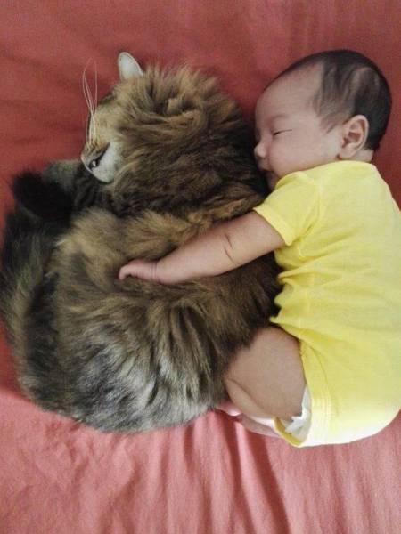 Morning Picdump