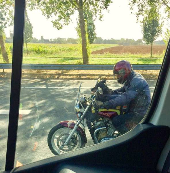 Morning Picdump