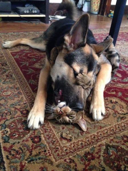 Morning Picdump