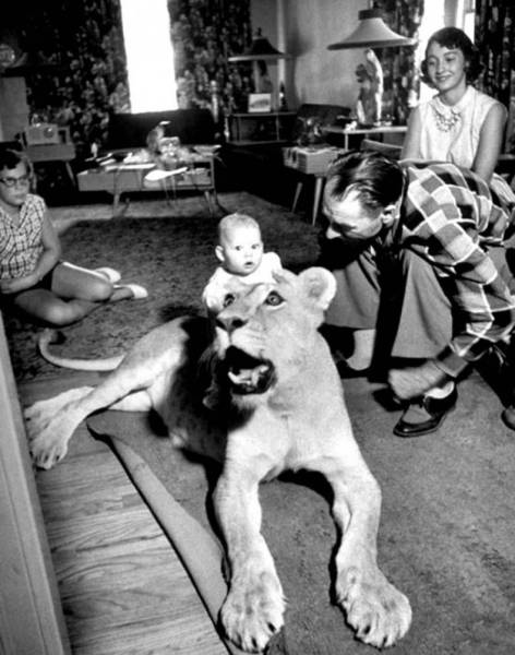 morning picdump 55 pics 21.html - 55 HD Photos | Premium Gallery 2016