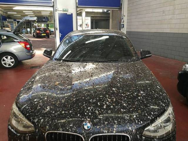 morning picdump 55 pics 21.html - 55 HD Photos | Premium Gallery 2016
