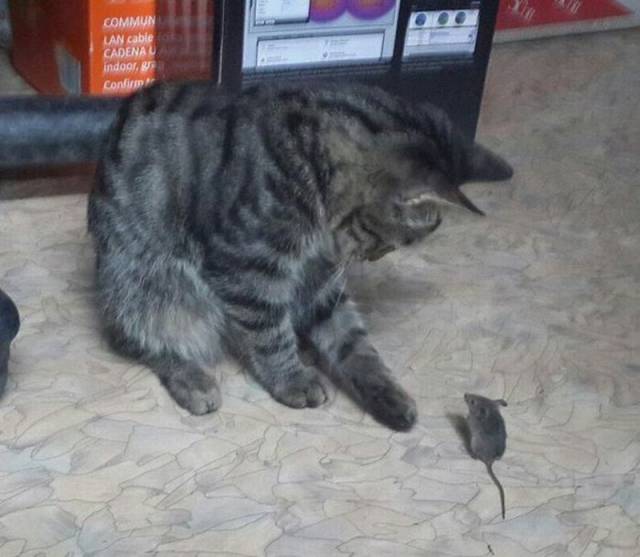 Morning Picdump