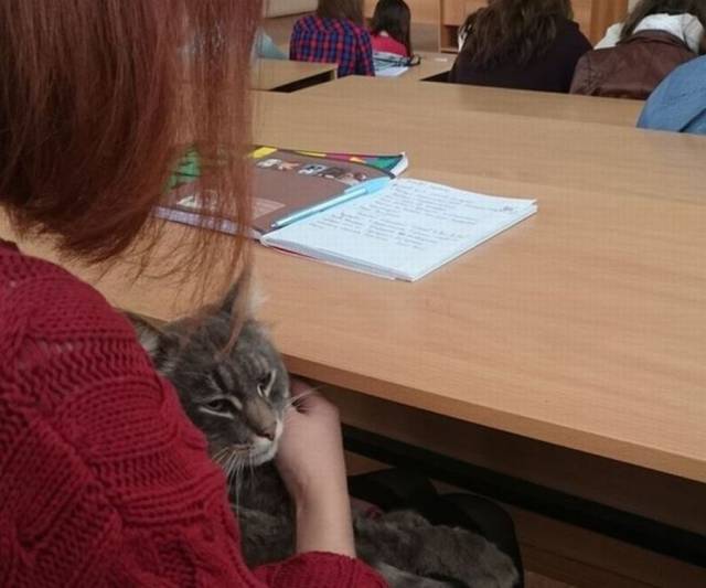 Morning Picdump