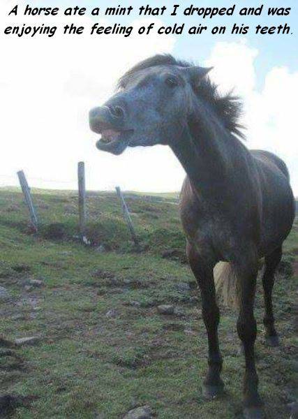 morning picdump 55 pics 12.html - 55 HD Photos | Premium Gallery 2016