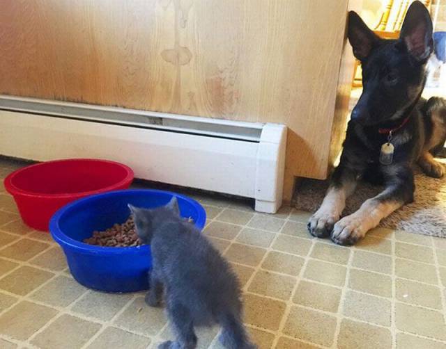morning picdump 55 pics 12.html - 55 HD Photos | Premium Gallery 2016