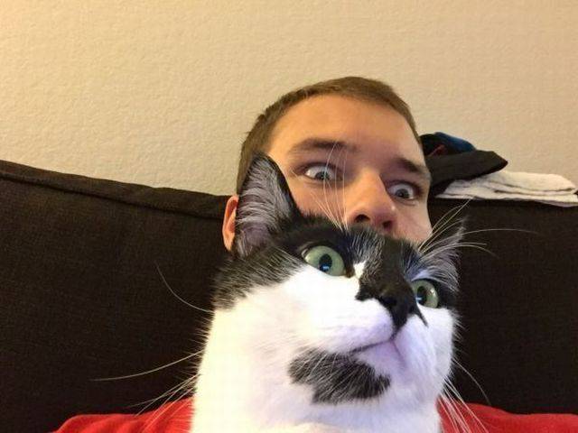 Daily Picdump [WEEKEND EDITION]