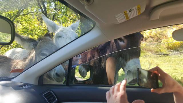 Daily Picdump [WEEKEND EDITION]