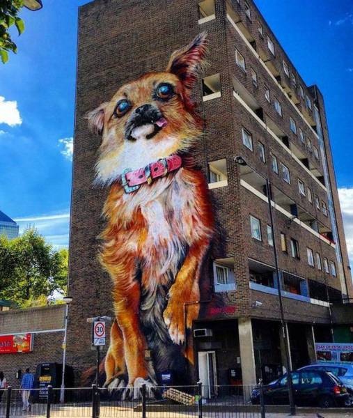 daily picdump weekend edition 75 pics 36.html - 75 HD Photos | Premium Gallery 2016