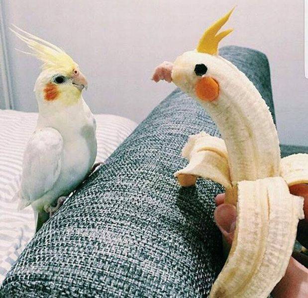 daily picdump weekend edition 75 pics 36.html - 75 HD Photos | Premium Gallery 2016